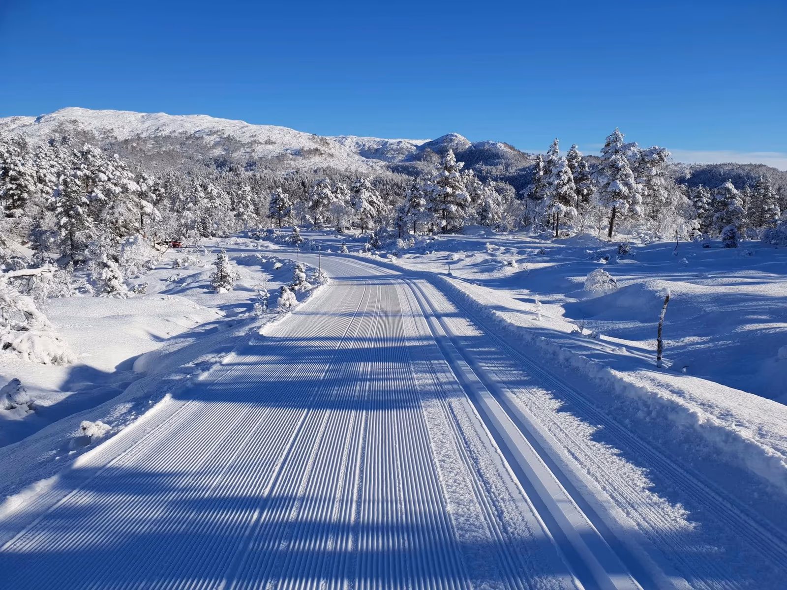 Totræna som app